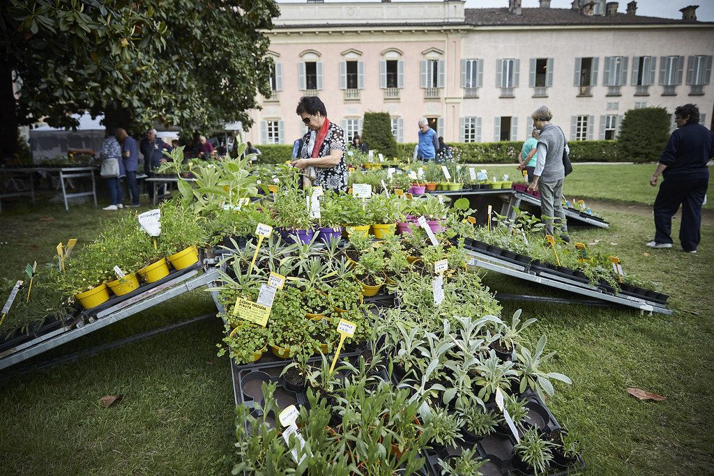 Officinalia al Castello di Belgioioso